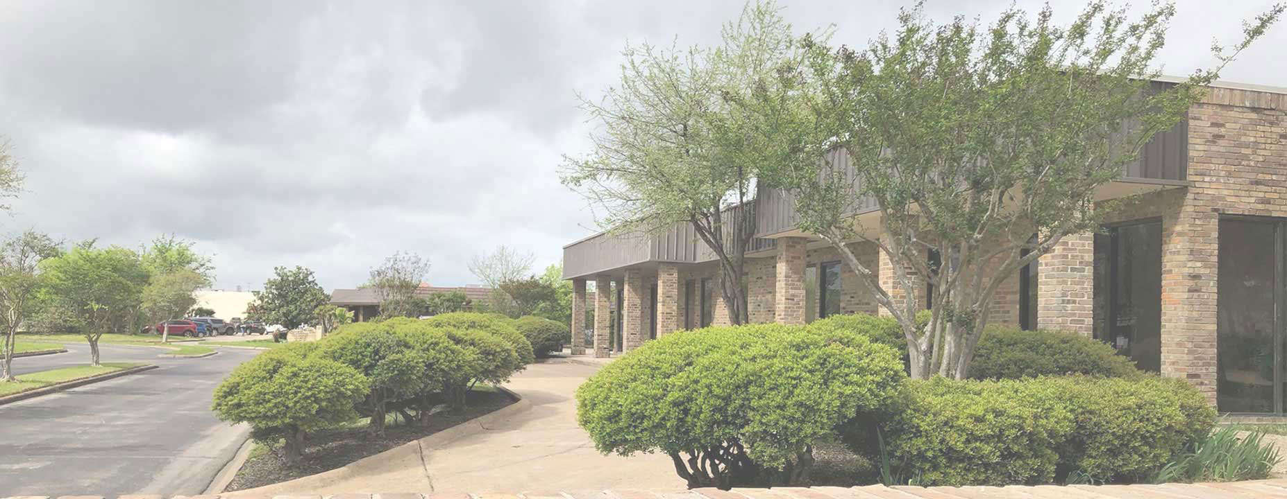 Family Dentist in Webster TX